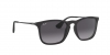 RB4187 Chris Sunglasses