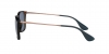 RB4187 Chris Sunglasses