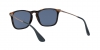 RB4187 Chris Sunglasses