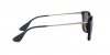 RB4187 Chris Sunglasses