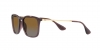 RB4187 Chris Sunglasses