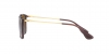 RB4187 Chris Sunglasses