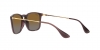 RB4187 Chris Sunglasses