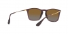 RB4187 Chris Sunglasses