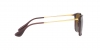 RB4187 Chris Sunglasses