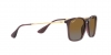 RB4187 Chris Sunglasses