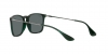 RB4187 Chris Sunglasses