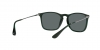 RB4187 Chris Sunglasses