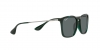 RB4187 Chris Sunglasses