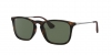 RB4187 Chris Sunglasses