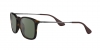RB4187 Chris Sunglasses