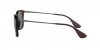 RB4187 Chris Sunglasses