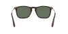 RB4187 Chris Sunglasses