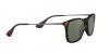 RB4187 Chris Sunglasses