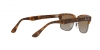 RB4187L Chris Sunglasses