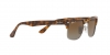 RB4187L Chris Sunglasses