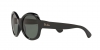 RB4187L Chris Sunglasses