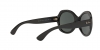 RB4187L Chris Sunglasses