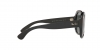 RB4187L Chris Sunglasses