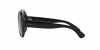 RB4190 Clubmaster Squere Sunglasses