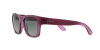 RB4194 Rb4194 Sunglasses