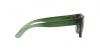 RB4194 Rb4194 Sunglasses