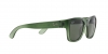 RB4194 Rb4194 Sunglasses