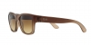 RB4194 Rb4194 Sunglasses