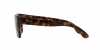 RB4194 Rb4194 Sunglasses