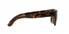 RB4194 Rb4194 Sunglasses