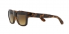 RB4194 Rb4194 Sunglasses