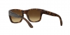 RB4194 Rb4194 Sunglasses