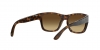 RB4194 Rb4194 Sunglasses