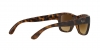 RB4194 Rb4194 Sunglasses