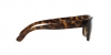 RB4194 Rb4194 Sunglasses