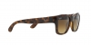 RB4194 Rb4194 Sunglasses