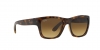 RB4194 Rb4194 Sunglasses