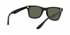 RB4195 Wayfarer Liteforce Sunglasses
