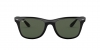 RB4195 Wayfarer Liteforce Sunglasses