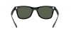 RB4195 Wayfarer Liteforce Sunglasses