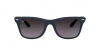 RB4195 Wayfarer Liteforce Sunglasses
