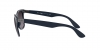 RB4195 Wayfarer Liteforce Sunglasses