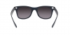 RB4195 Wayfarer Liteforce Sunglasses
