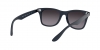 RB4195 Wayfarer Liteforce Sunglasses