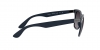 RB4195 Wayfarer Liteforce Sunglasses