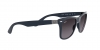 RB4195 Wayfarer Liteforce Sunglasses