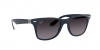 RB4195 Wayfarer Liteforce Sunglasses