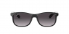 RB4202 Andy Sunglasses