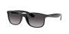 RB4202 Andy Sunglasses