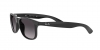 RB4202 Andy Sunglasses